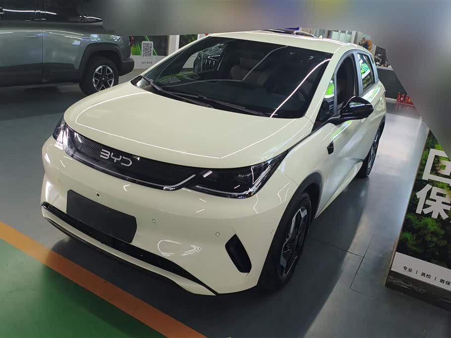BYD Dolphin