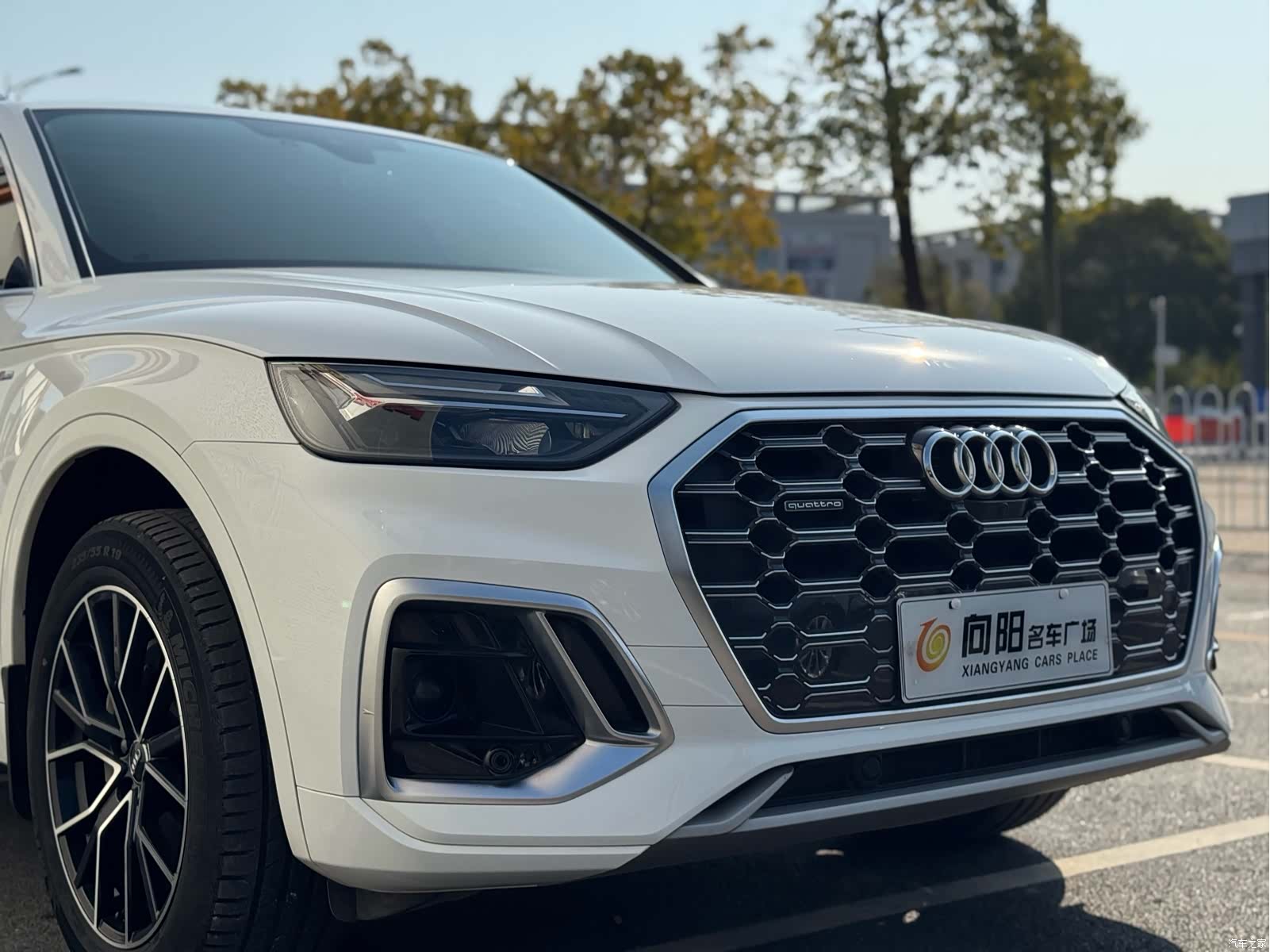 Audi Q5L, 2023 55
