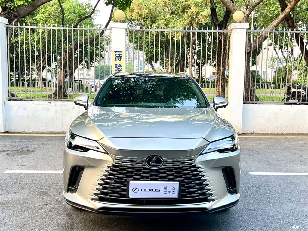 Lexus RX, 2023 3