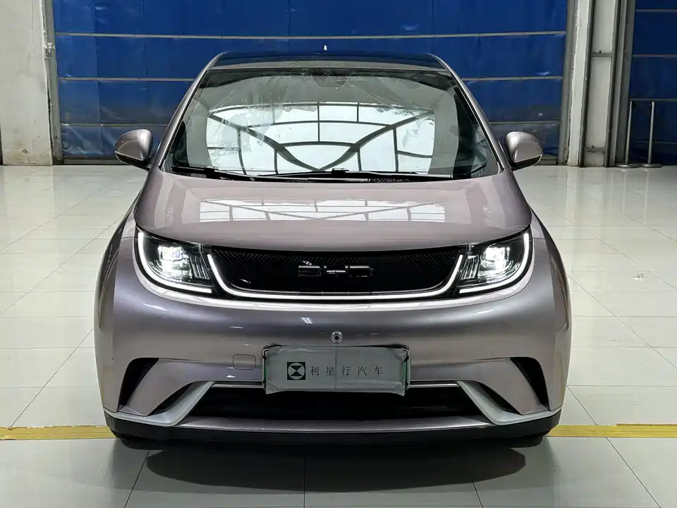 BYD dolphin