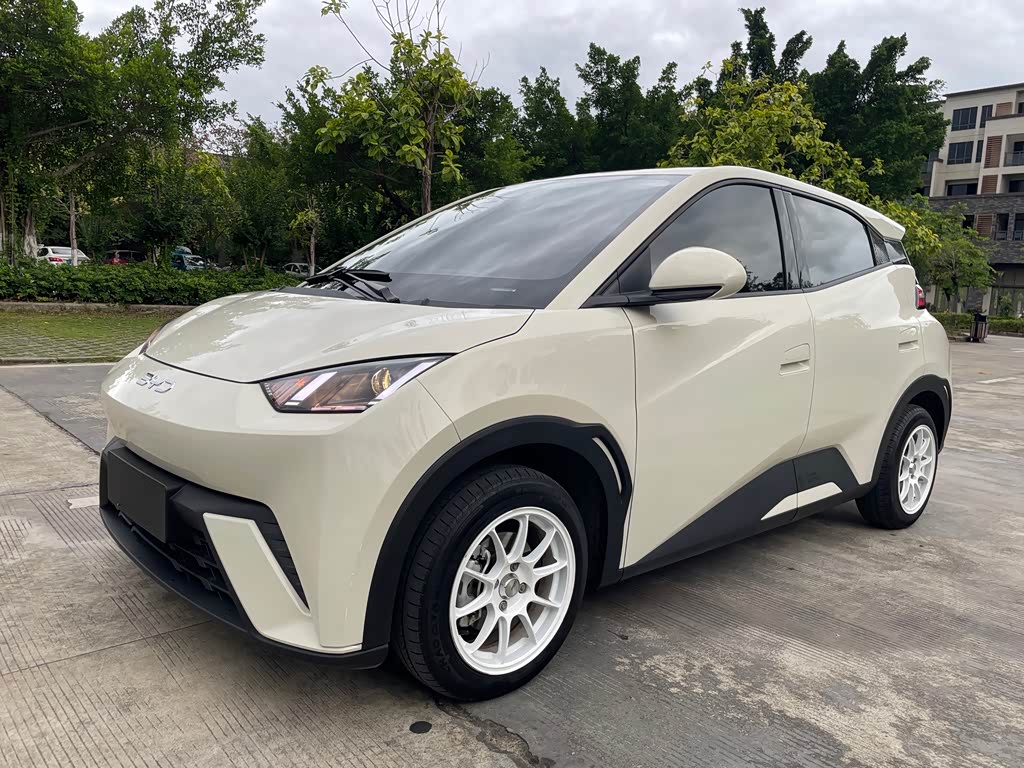 BYD Seagull