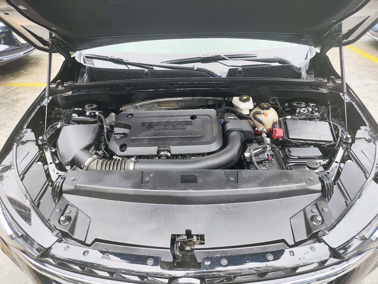 Buick Envision Plus, 2023 все фото