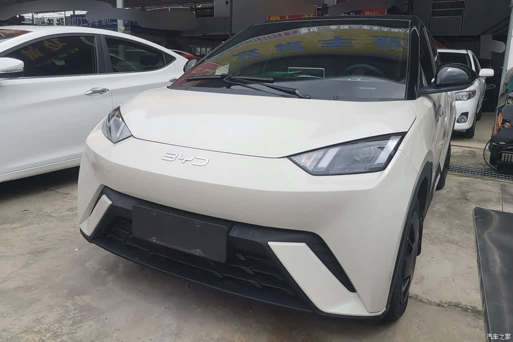 BYD Seagull, 2024 1