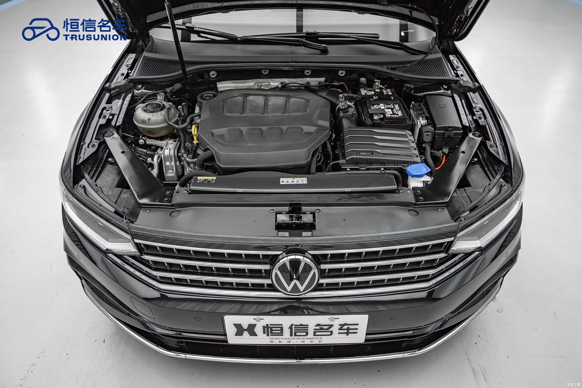 Volkswagen Magotan, 2024 20