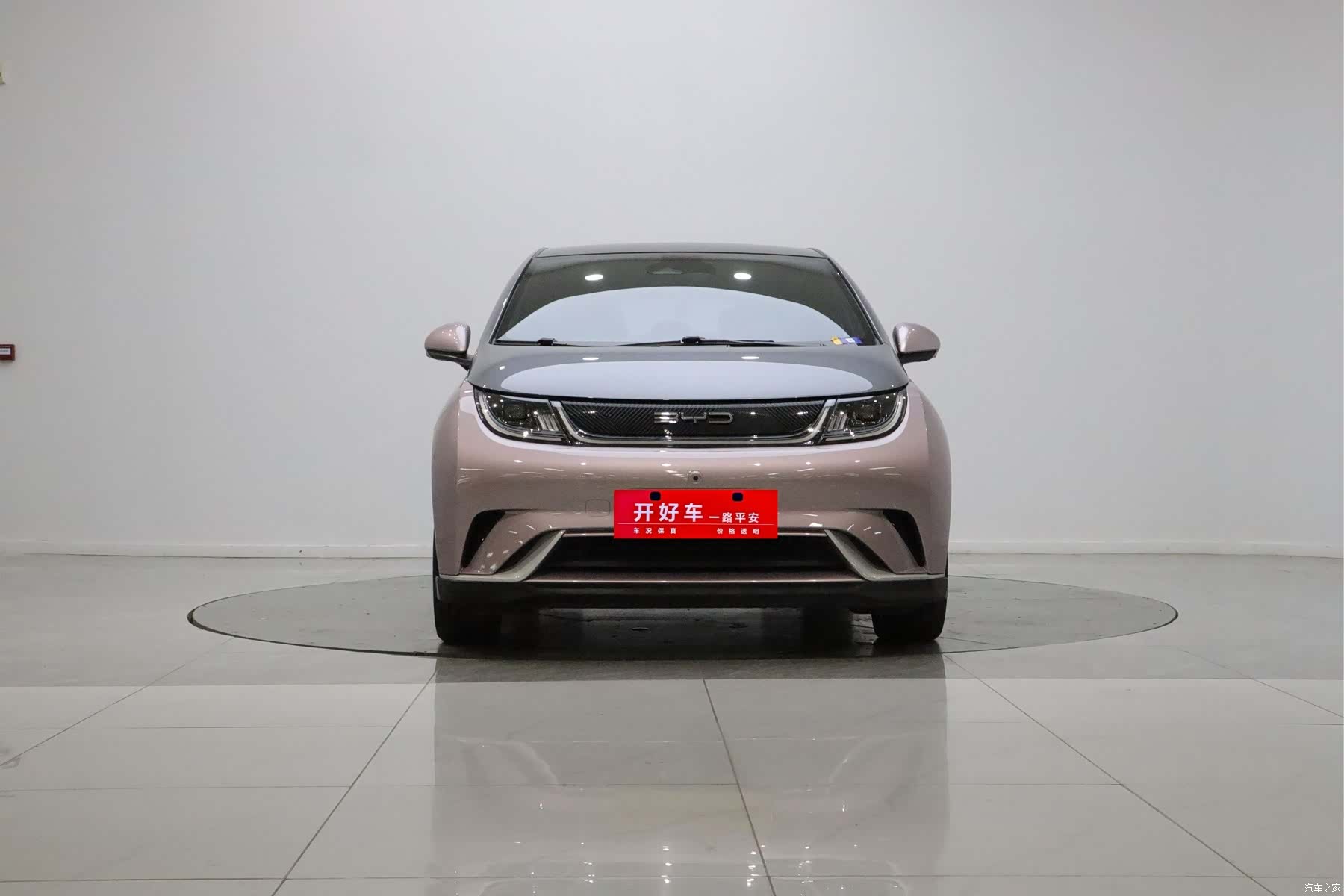 BYD Dolphin, 2022 2