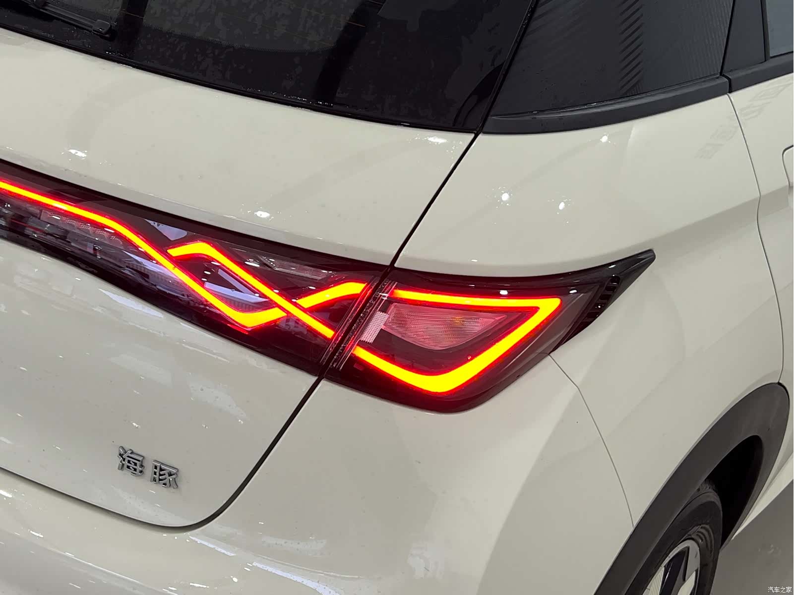 BYD Dolphin, 2026 6