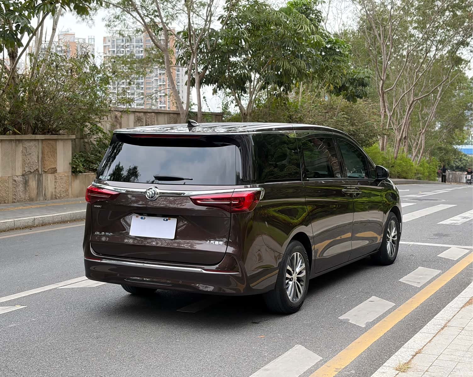 Buick GL8, 2021 17