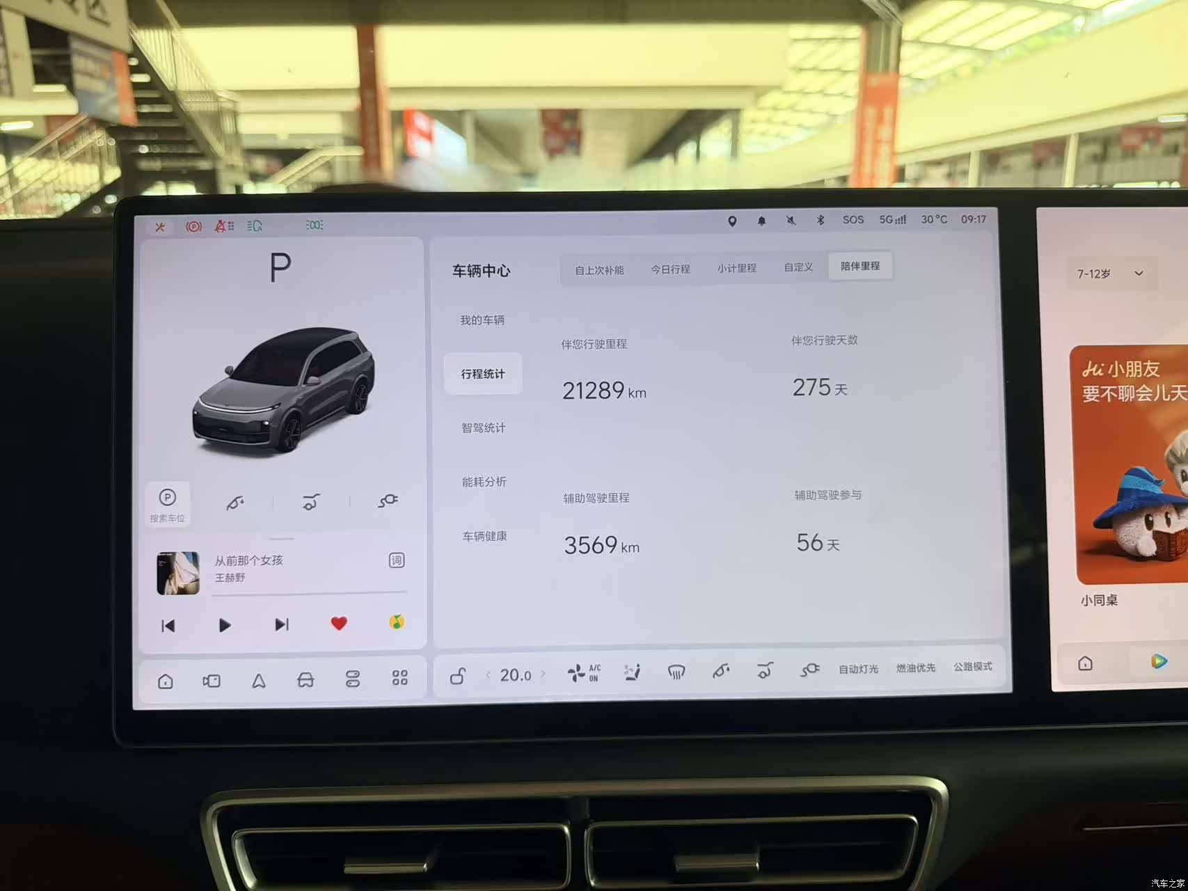 Li Auto L8, 2025 13