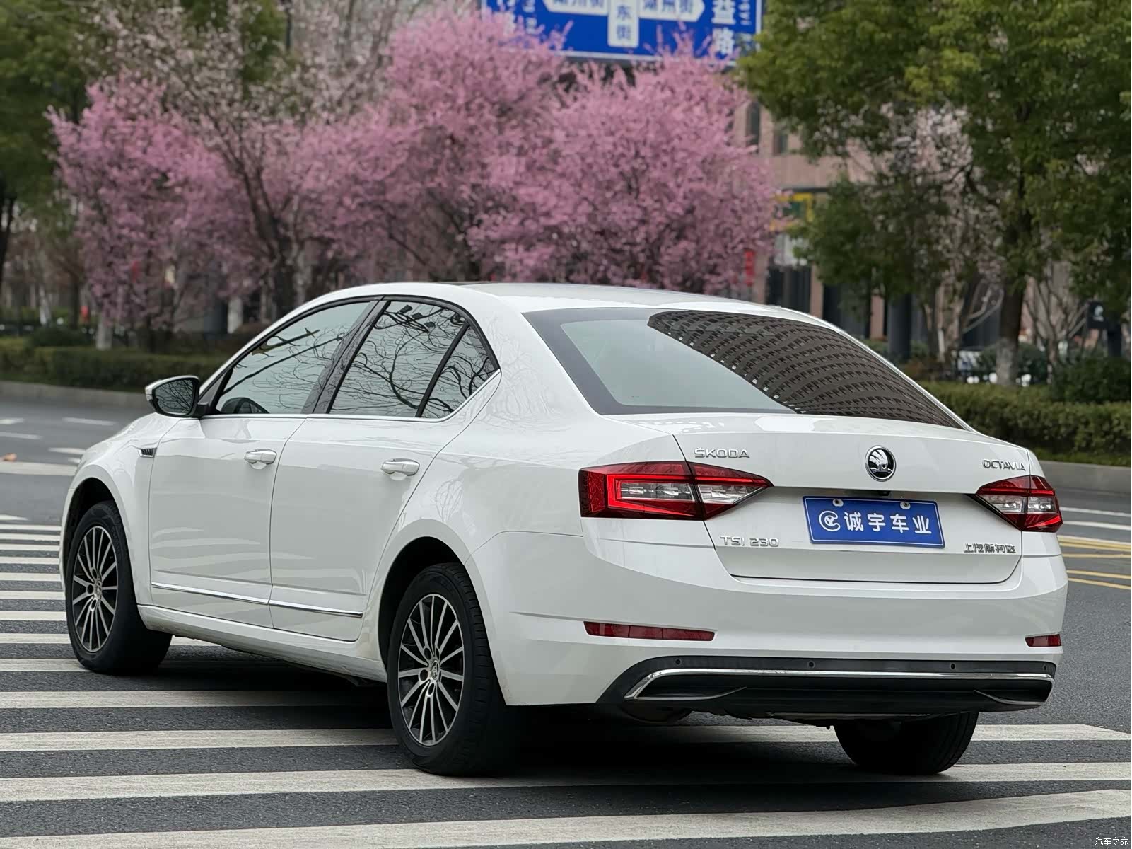 Skoda Octavia, 2018 16