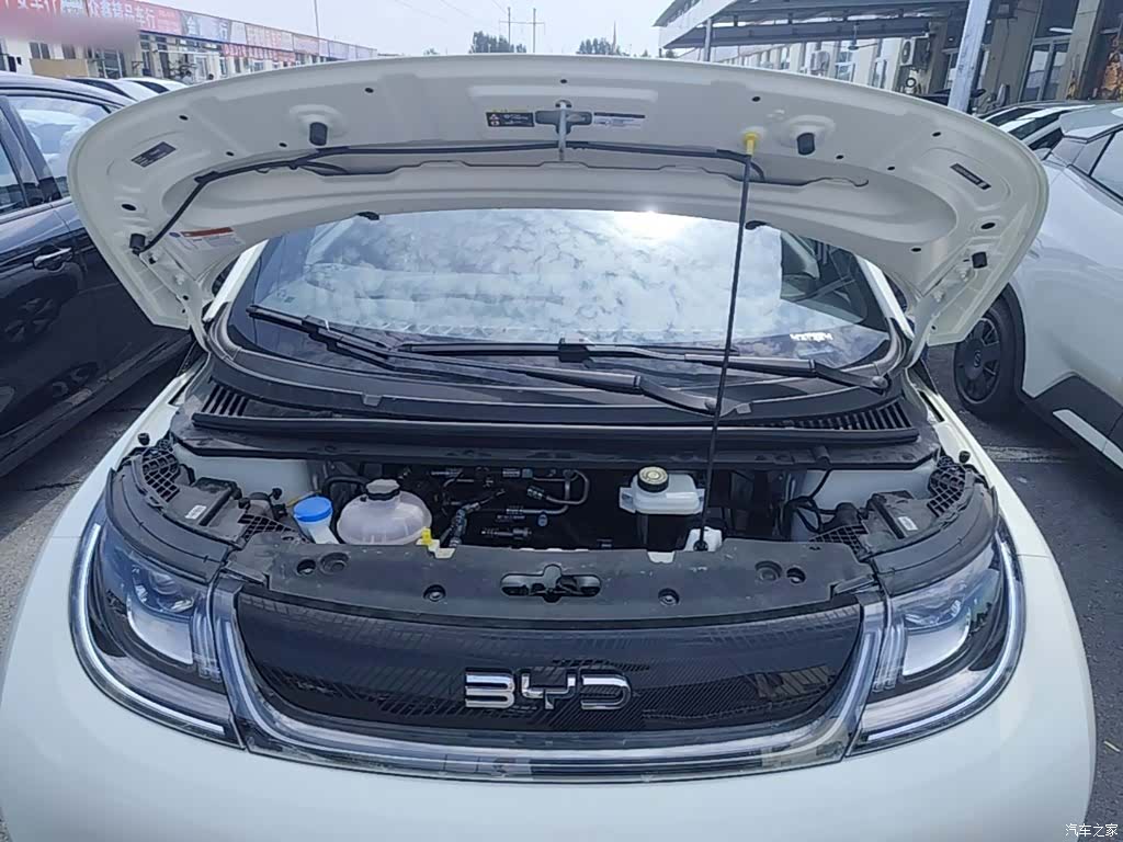 BYD Dolphin, 2026 20