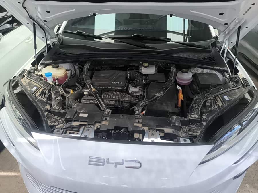 BYD Song PLUS New Energy 2024, фото 16