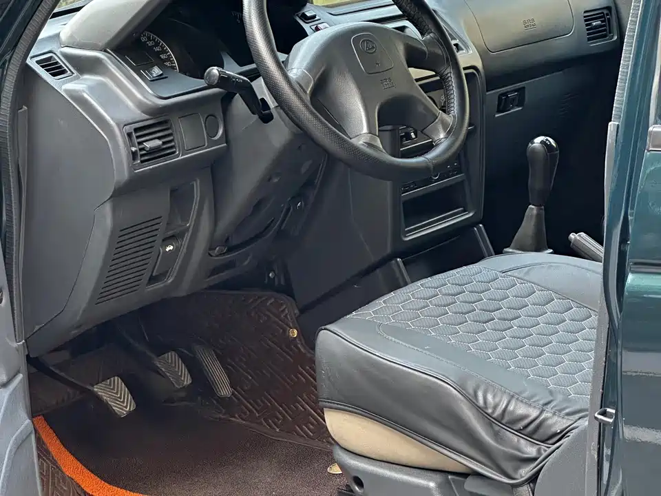 Leopaard Cheetah 6481