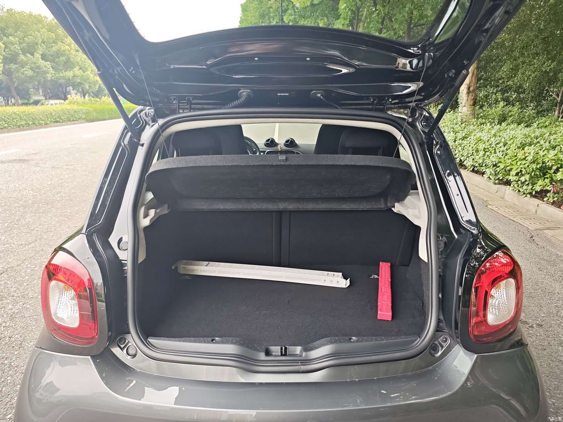 Smart Forfour, 2017 22