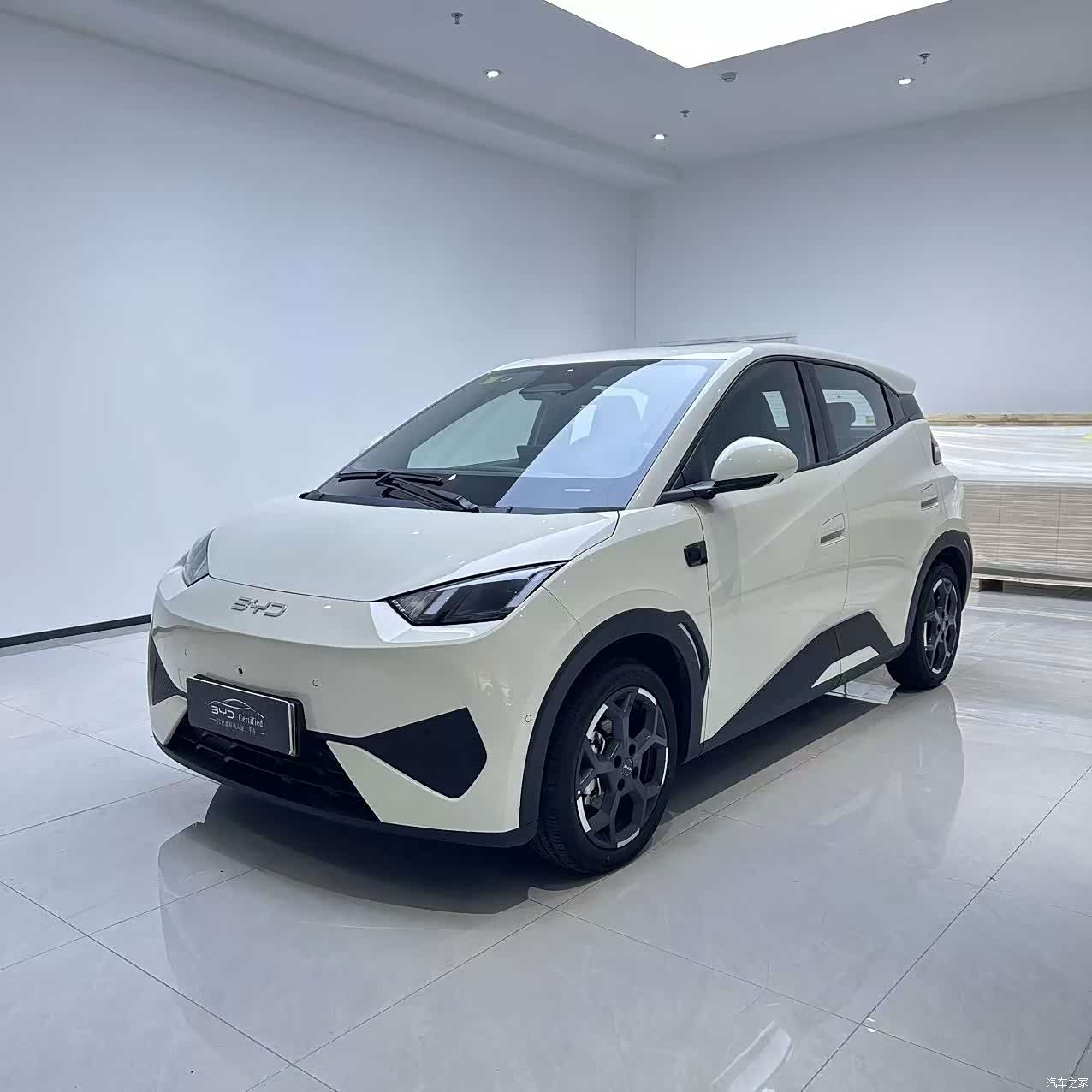 BYD Seagull, 2025 1