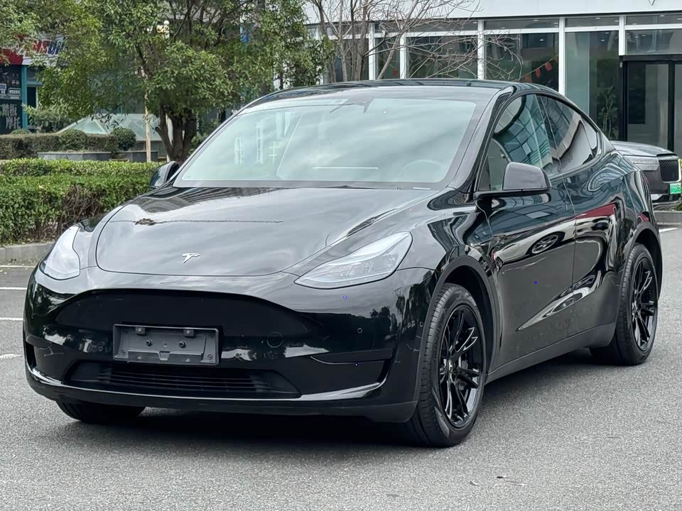 Tesla Model Y Tesla Model Y