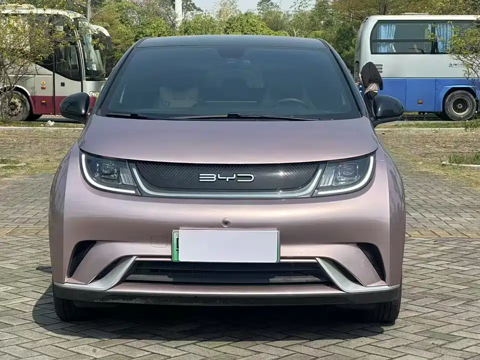 BYD dolphin