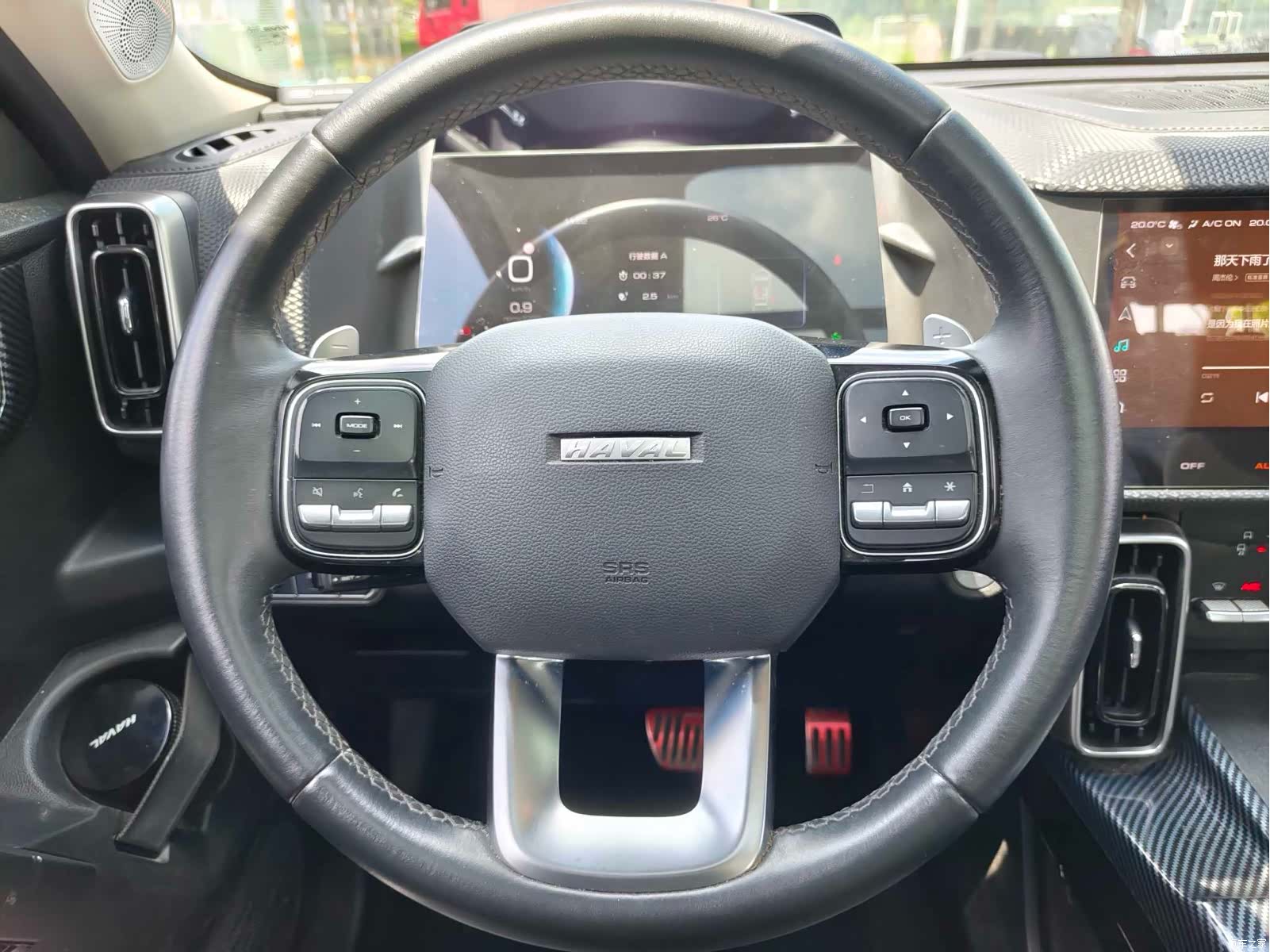 Haval Big Dog, 2021 17