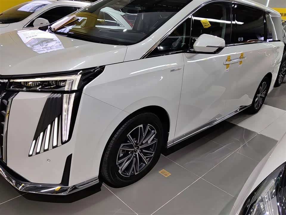 Trumpchi Trumpchi M8