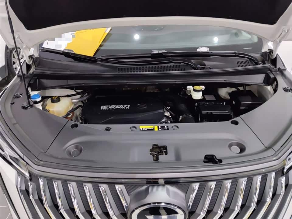 Trumpchi Trumpchi M8