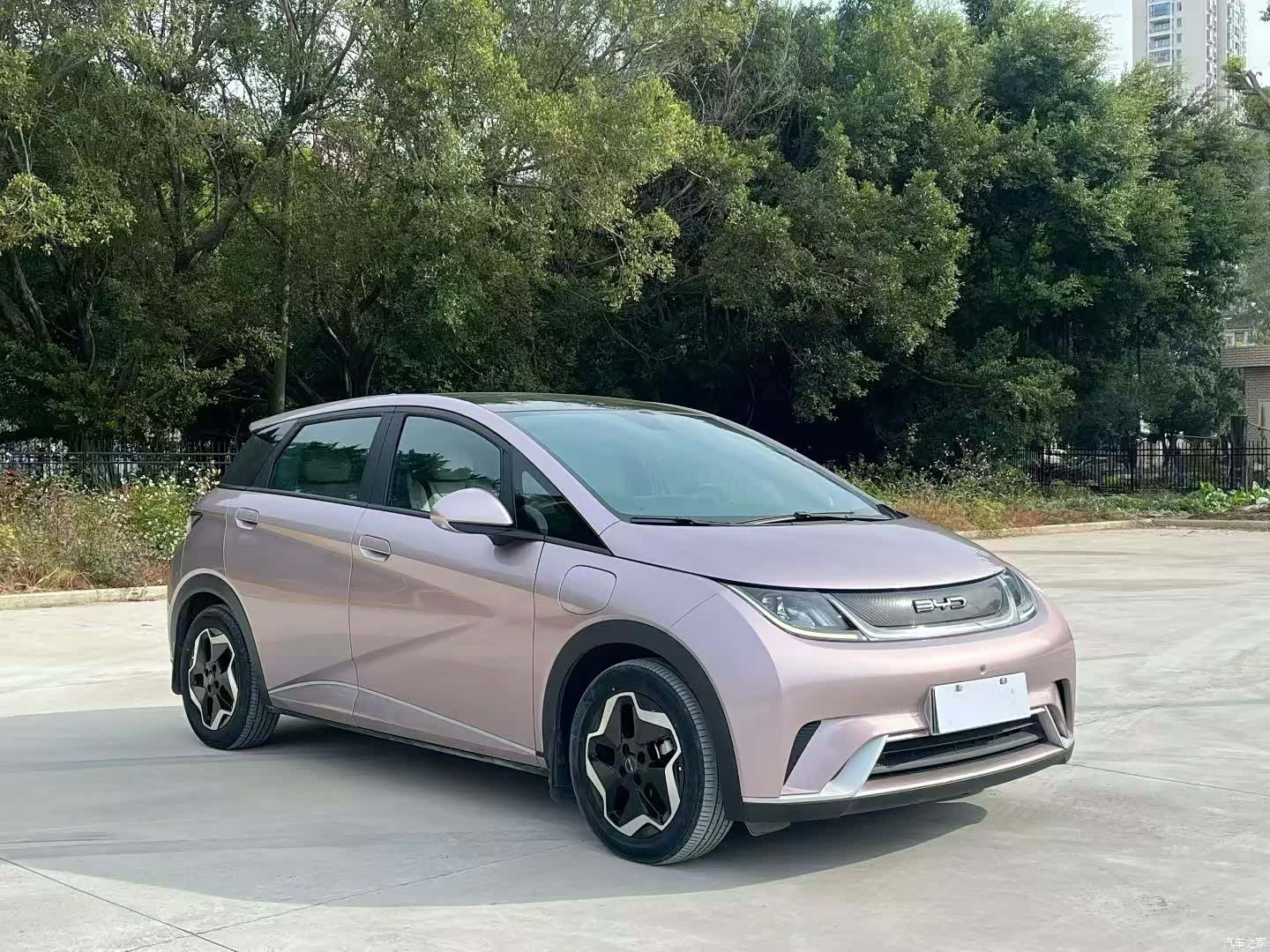 BYD Dolphin, 2022 1