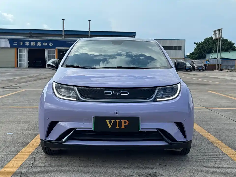 BYD dolphin
