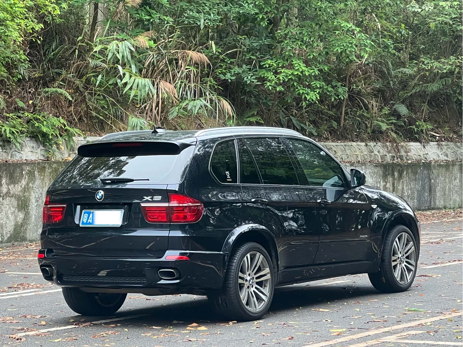BMW X5, 2012 все фото