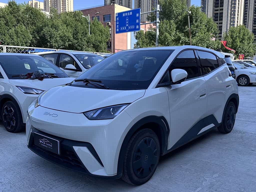 BYD Seagull