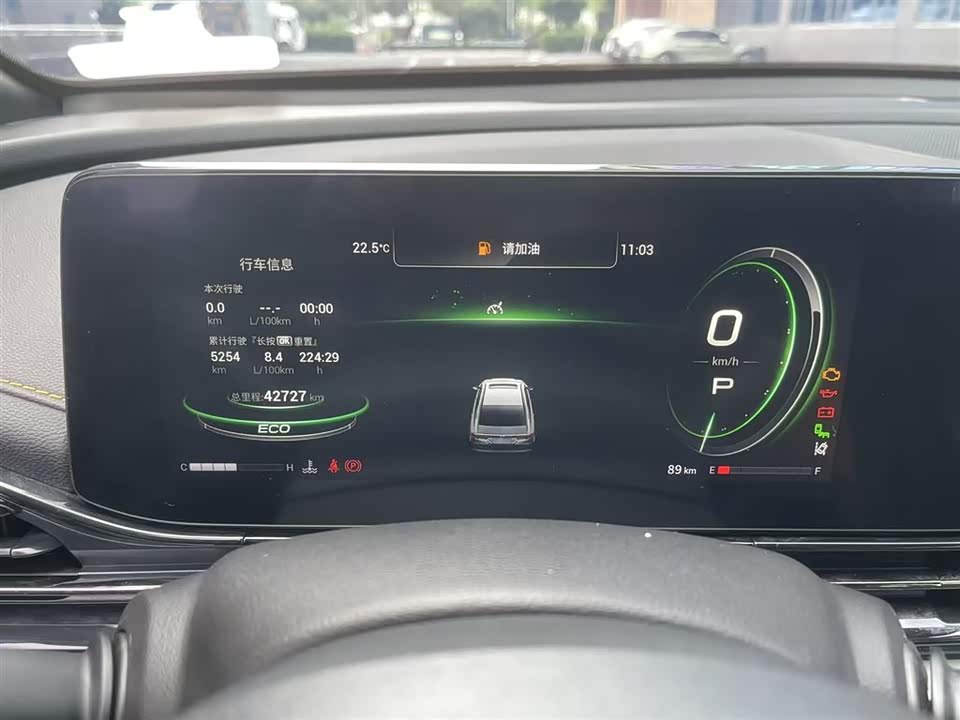 Trumpchi Shadow Leopard