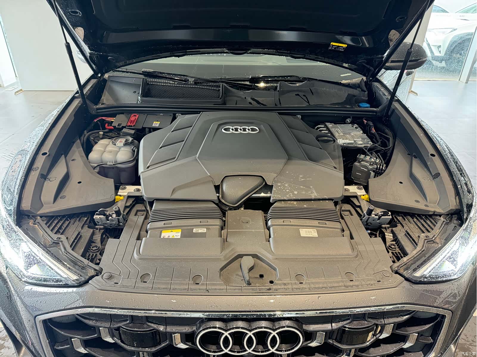 Audi Q8, 2025 19