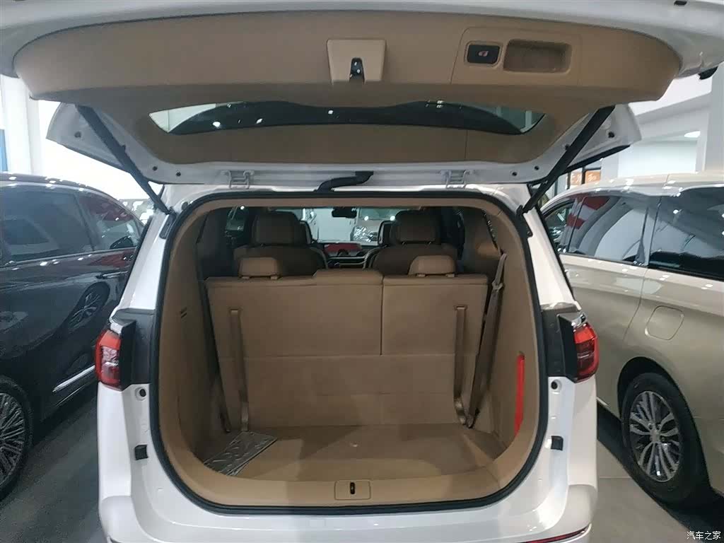 Buick GL8, 2021 19