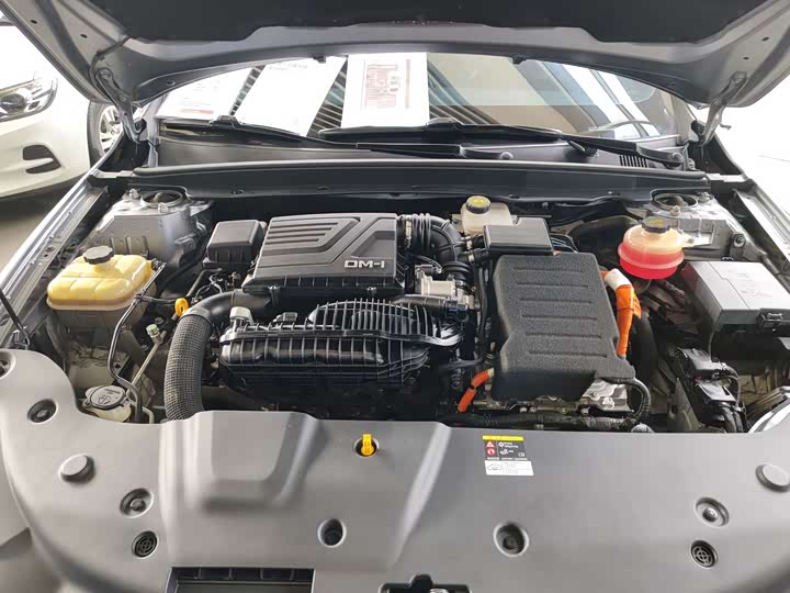 BYD Qin Plus 2021 DM-i 55KM Flagship