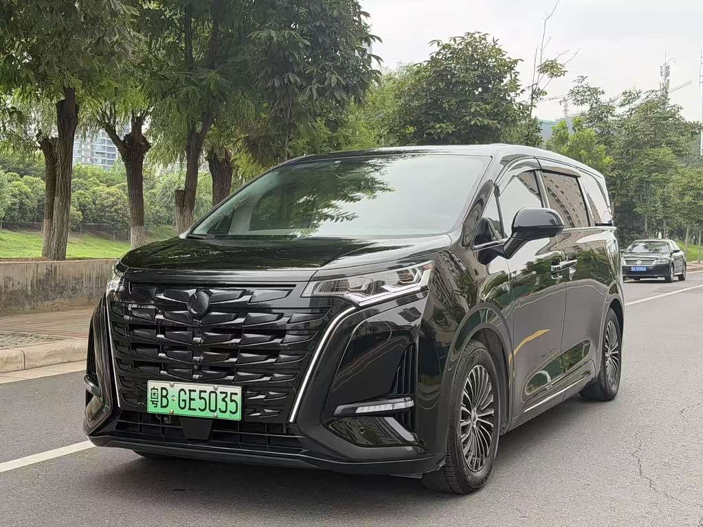 Denza D9