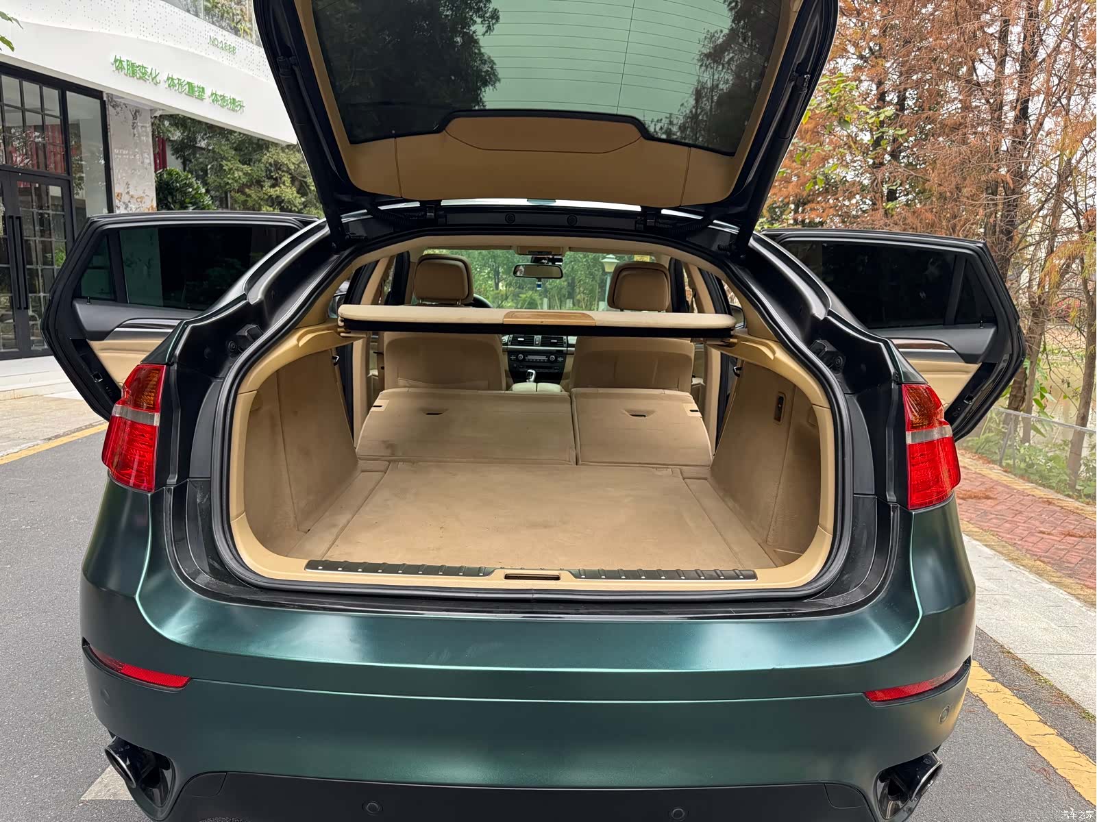 BMW X6, 2011 22