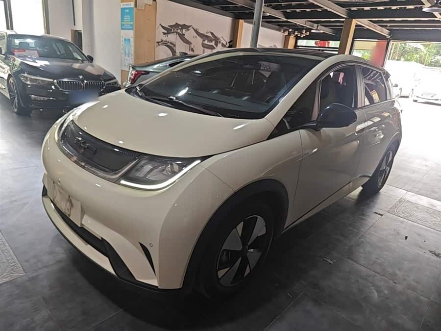 BYD Dolphin 2023, фото 1