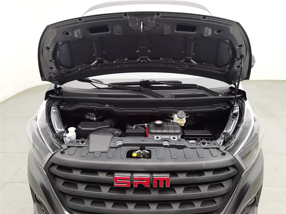 Shineray Golden Sea Lion M