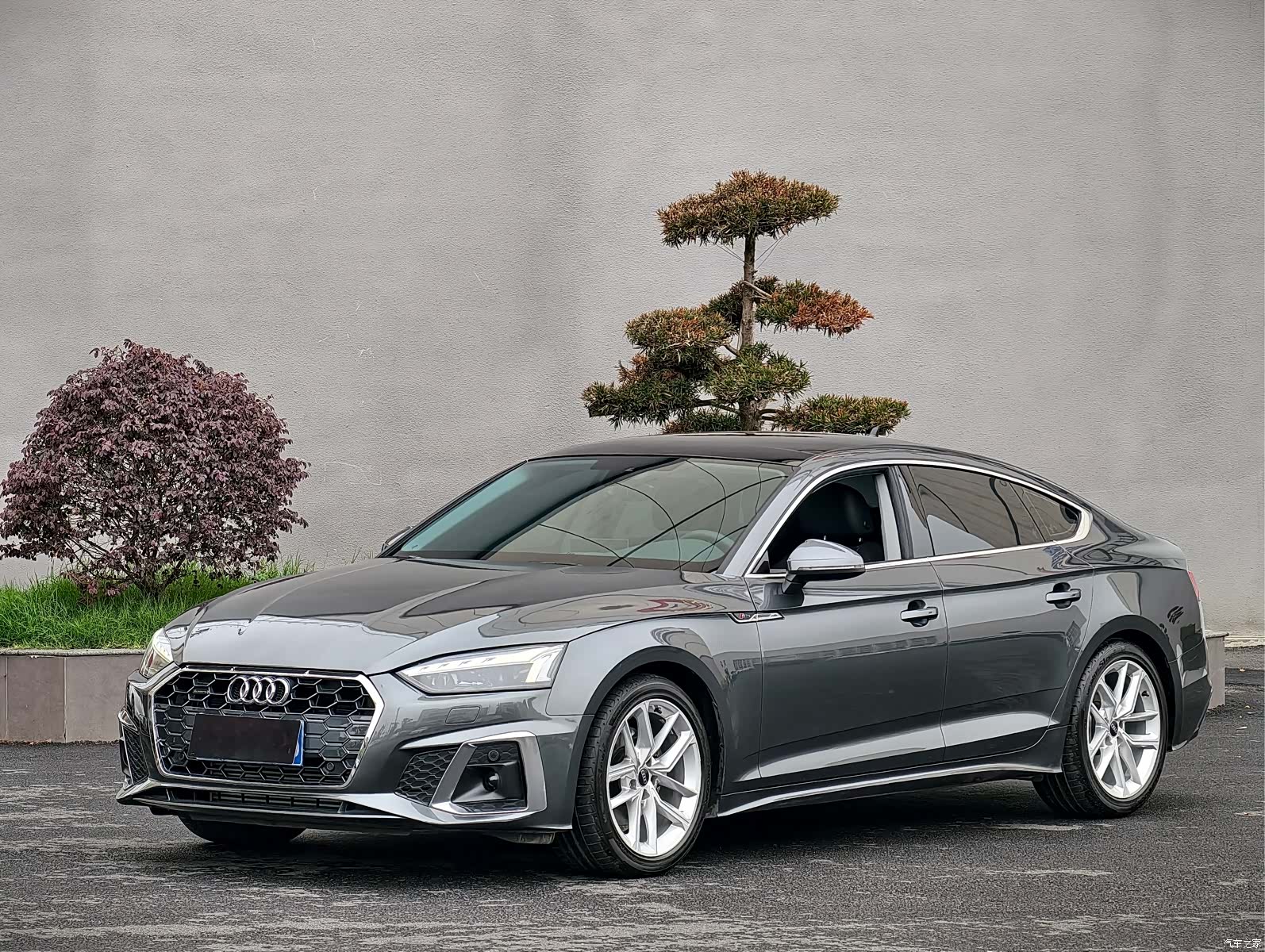 Audi A5, 2024 3