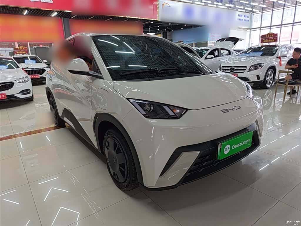 BYD Seagull, 2024 4
