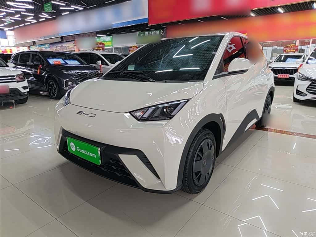 BYD Seagull, 2024 2