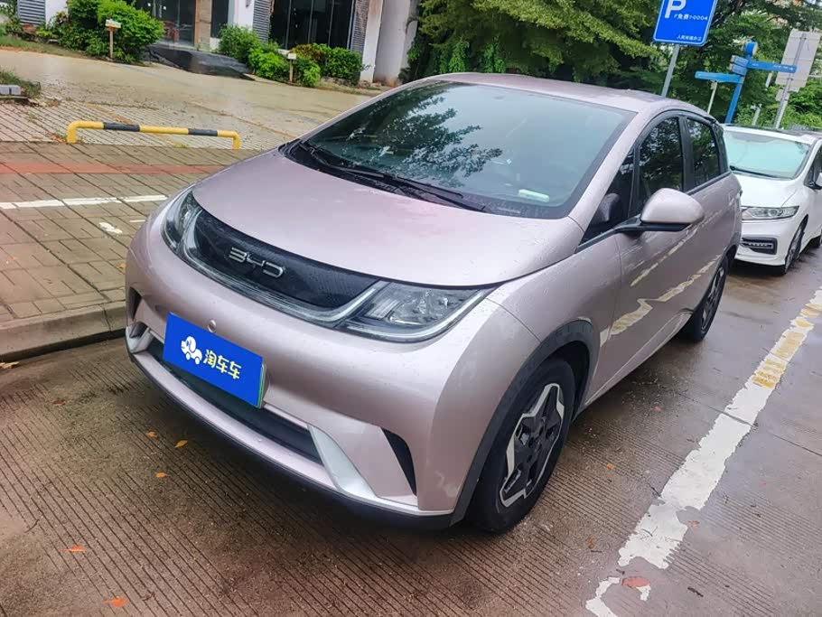 BYD Dolphin
