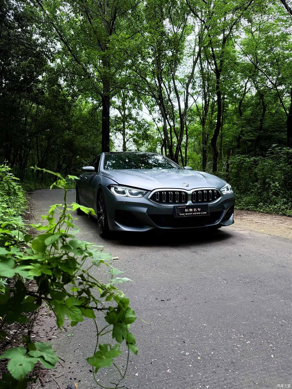BMW 8 Series, 2024 4