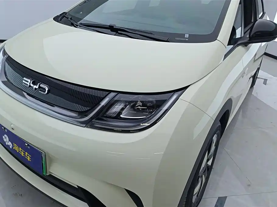 BYD dolphin