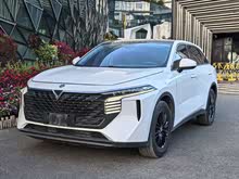 ������V 2022�� 260T �����桤����