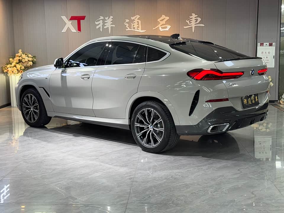 BMW X6