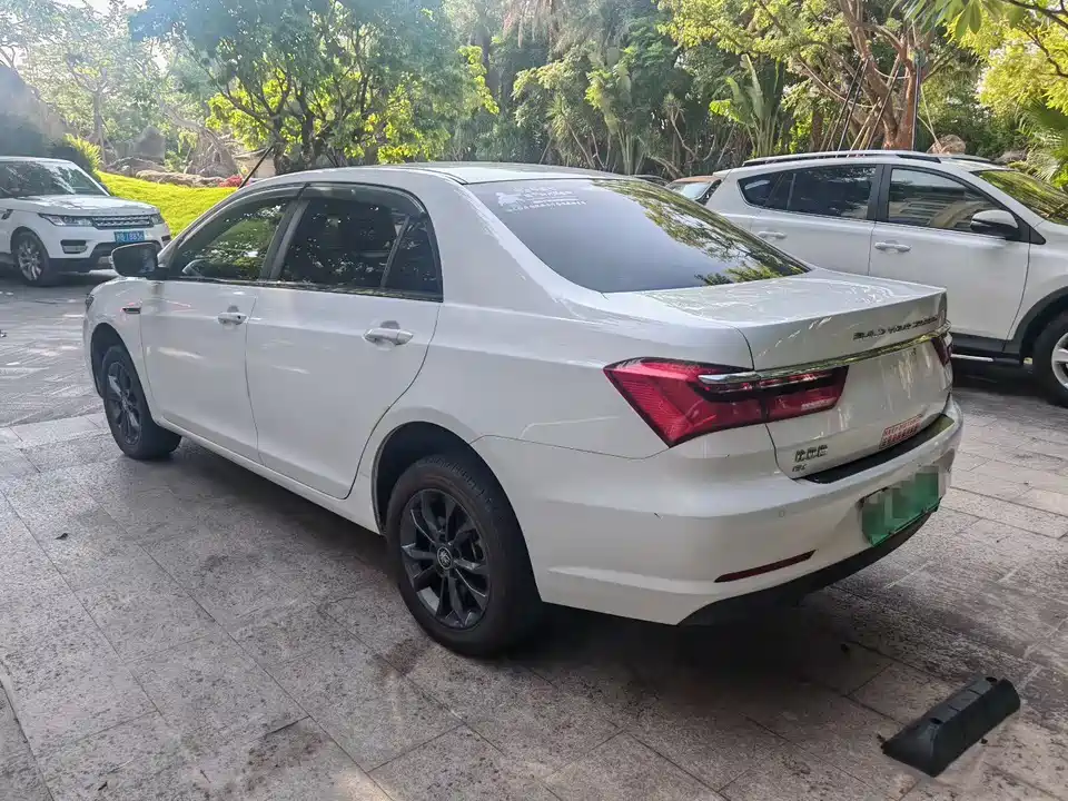 BYD Qinxin Energy