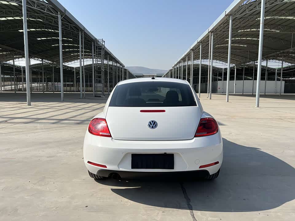 Volkswagen Beetle