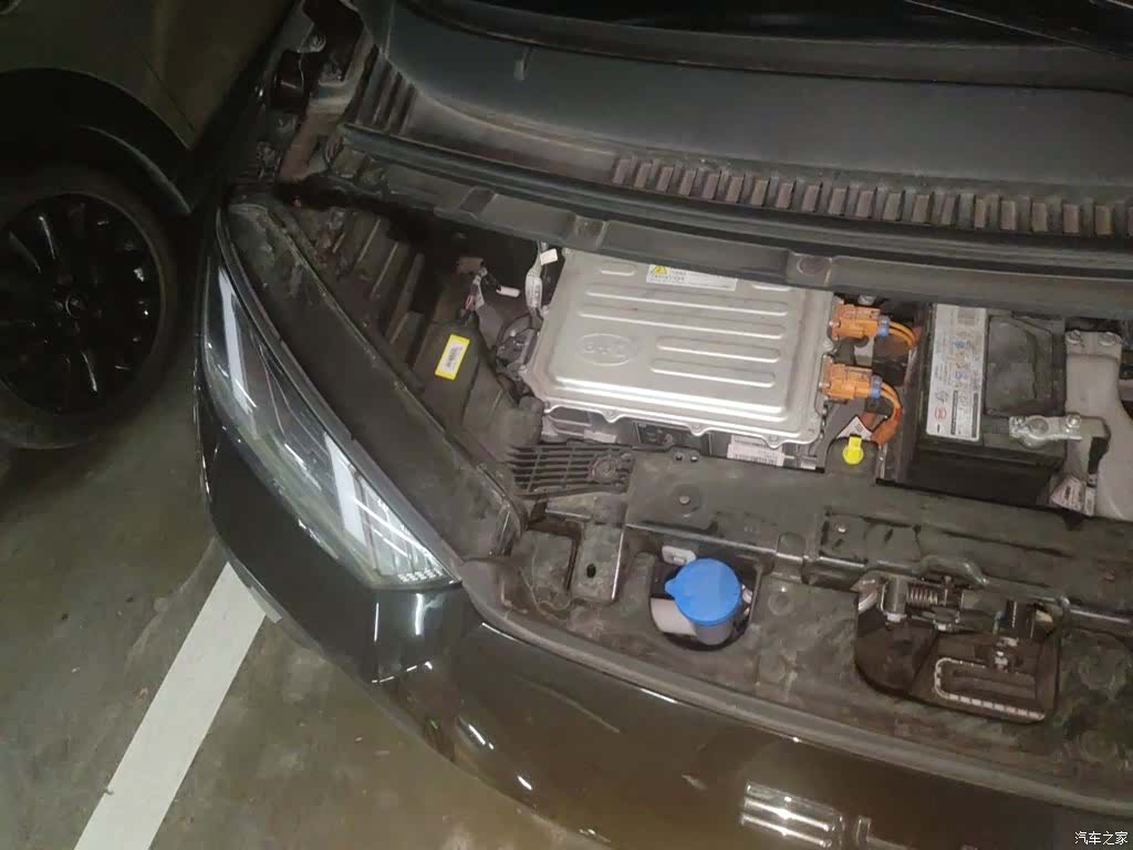 BYD Seagull, 2023 21