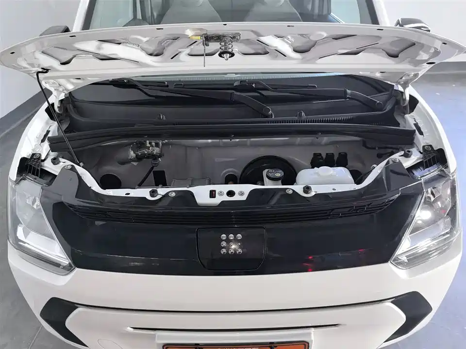 Fengon Scenery MINIEV