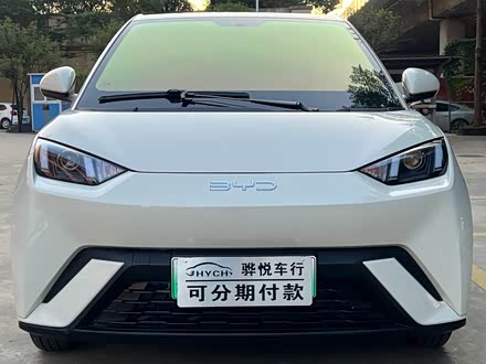 Seagull 2025 305km