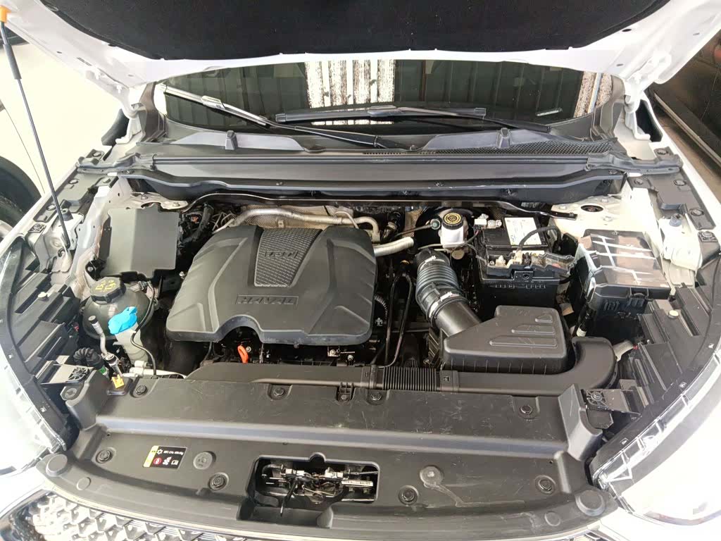 Haval First Love, 2021 16