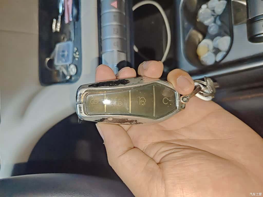 BYD Dolphin, 2024 19